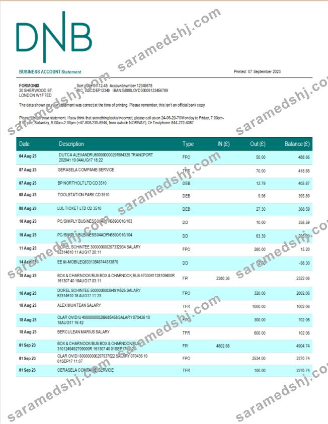 DNB Bank firm account statement Word and PDF template